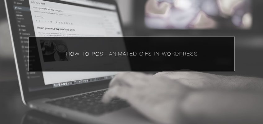 How to Post Animated GIFs in WordPress